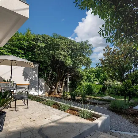 Desamani 975 * コストレナ